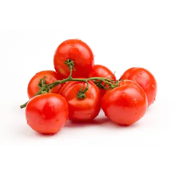 Tomato (24)-2148699-77638.webp